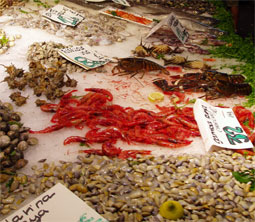 La Boquería i Barcelona La Boquería i Barcelona